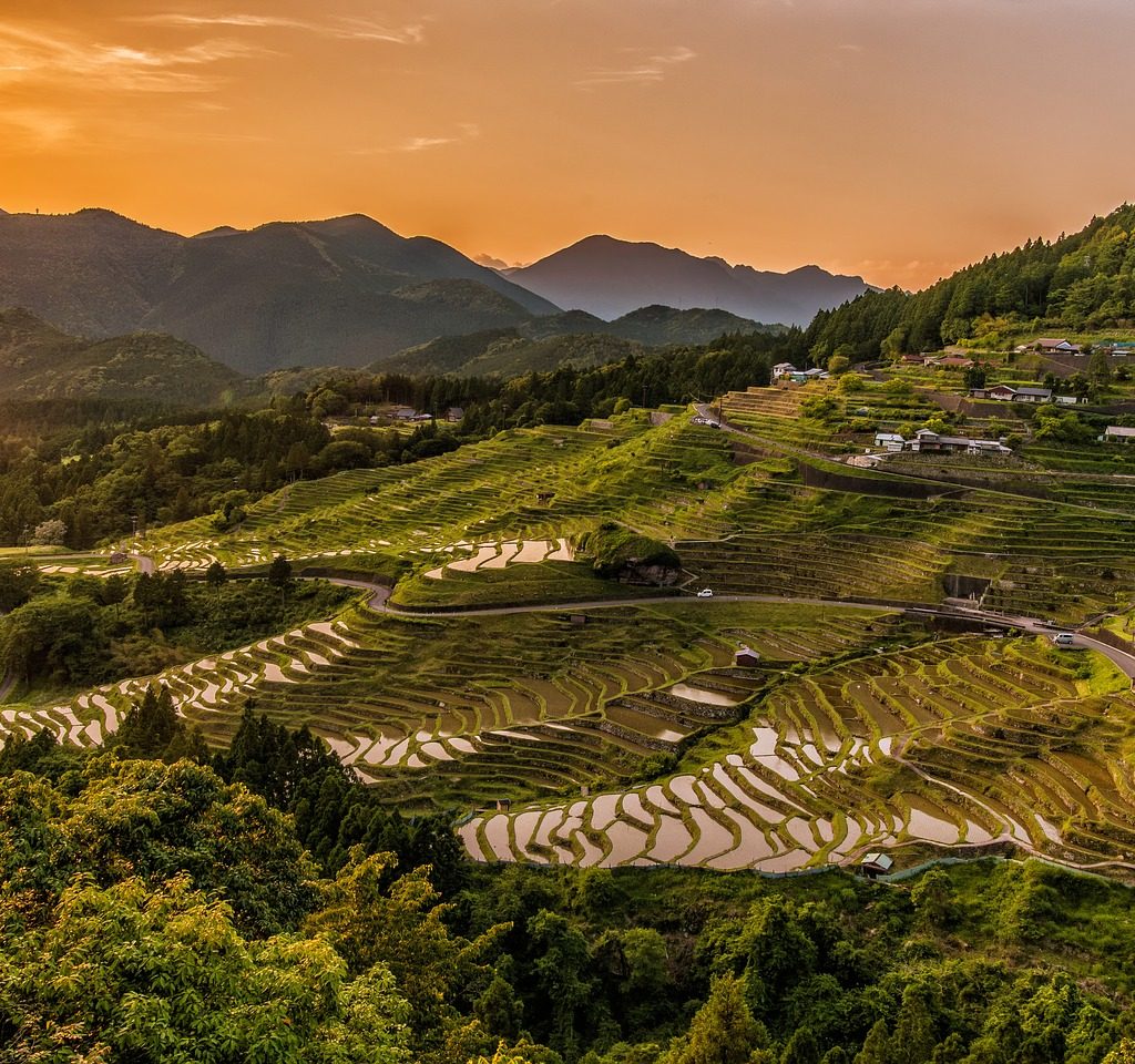 Jefta: How SMEs can benefit from the EU’s free trade agreement with Japan