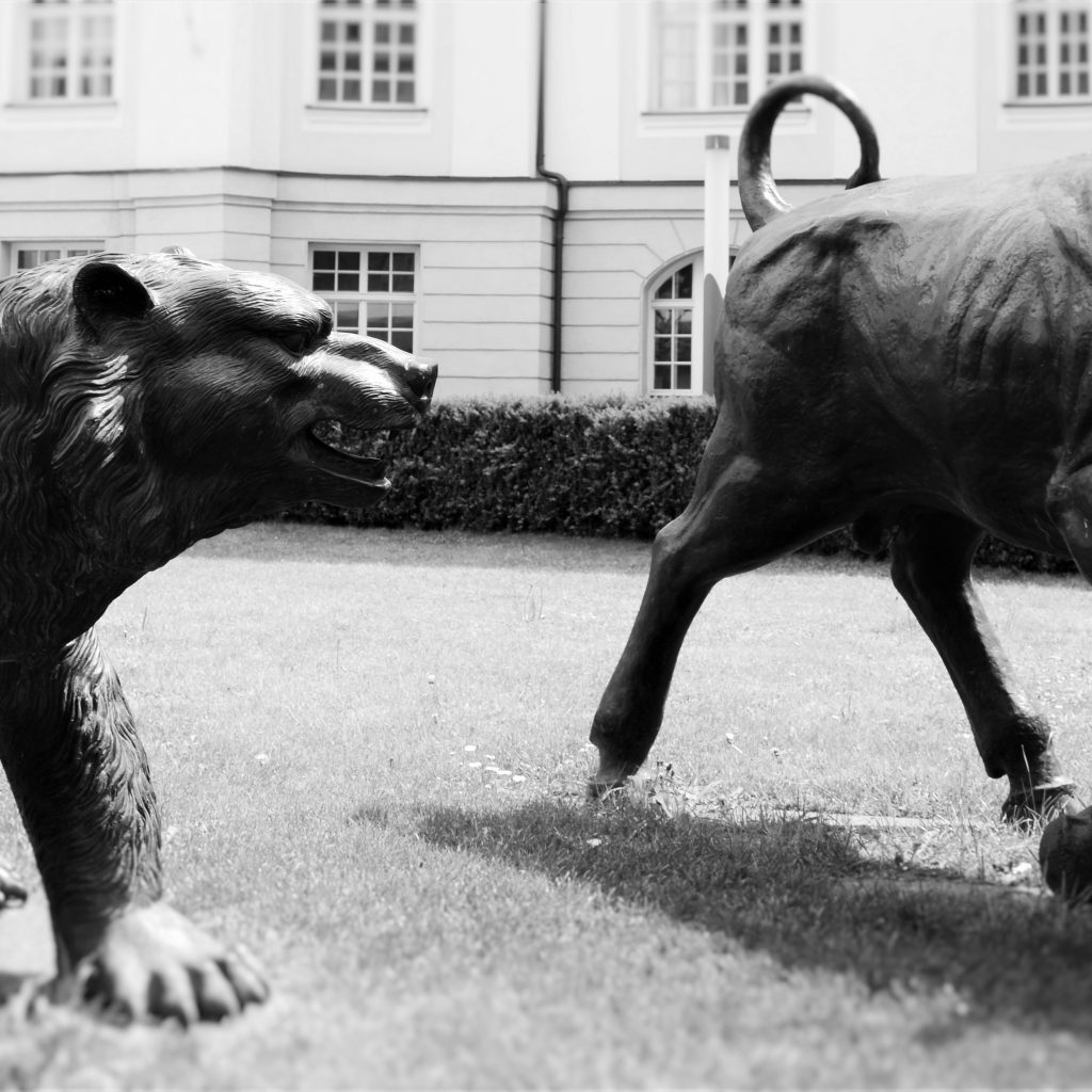 Kloepfel Corporate Finance: Case Study Projekt Future