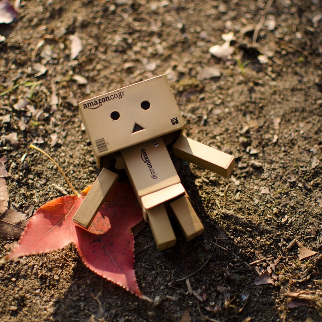 Amazon Air: Logistics aircraft fleet to be increased to 80 machines