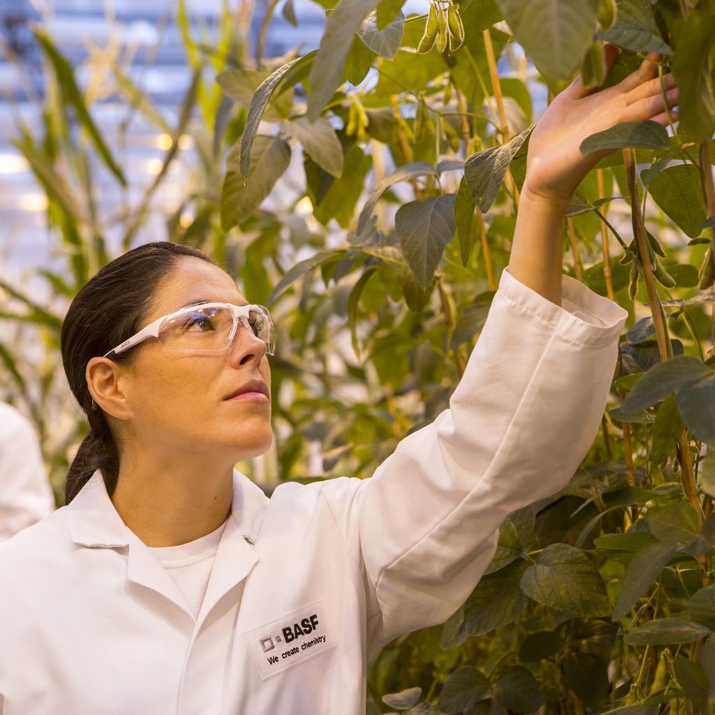Nachhaltigkeit bei BASF