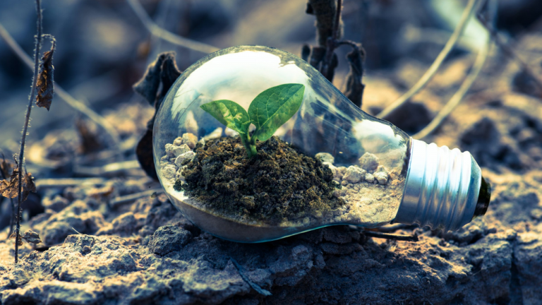 S. Oliver with First Sustainability Report